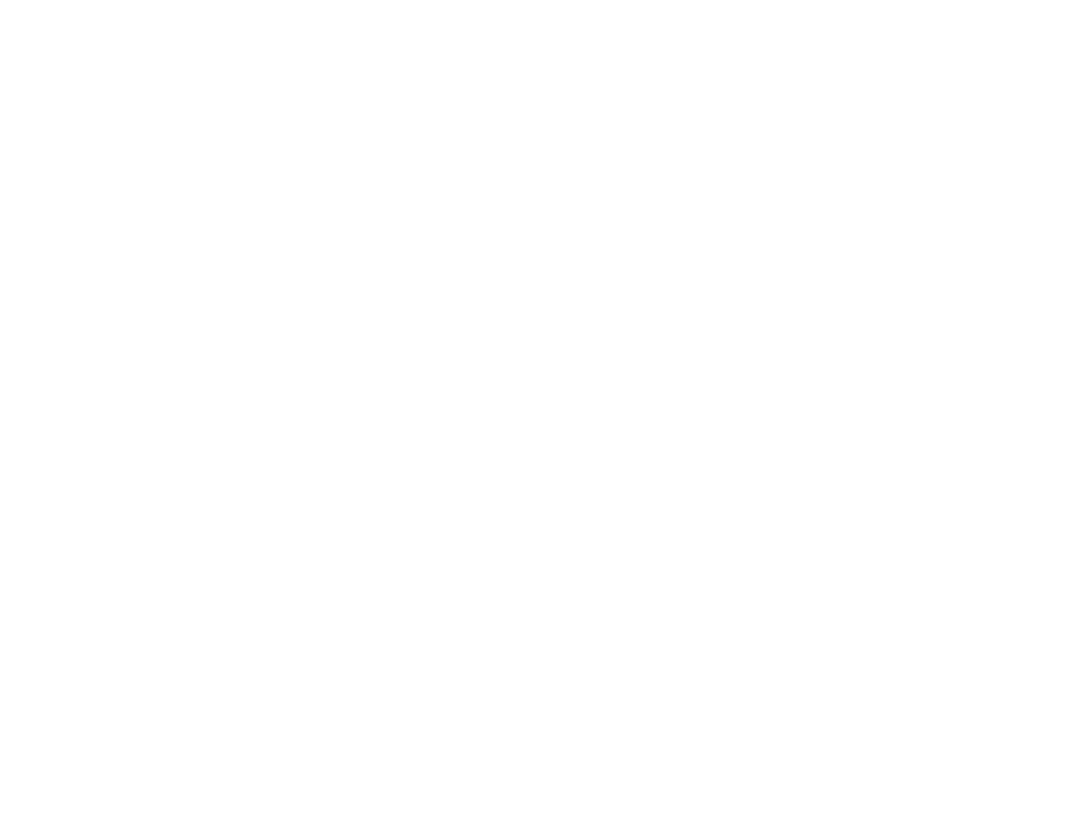 Concessionaire Fiat