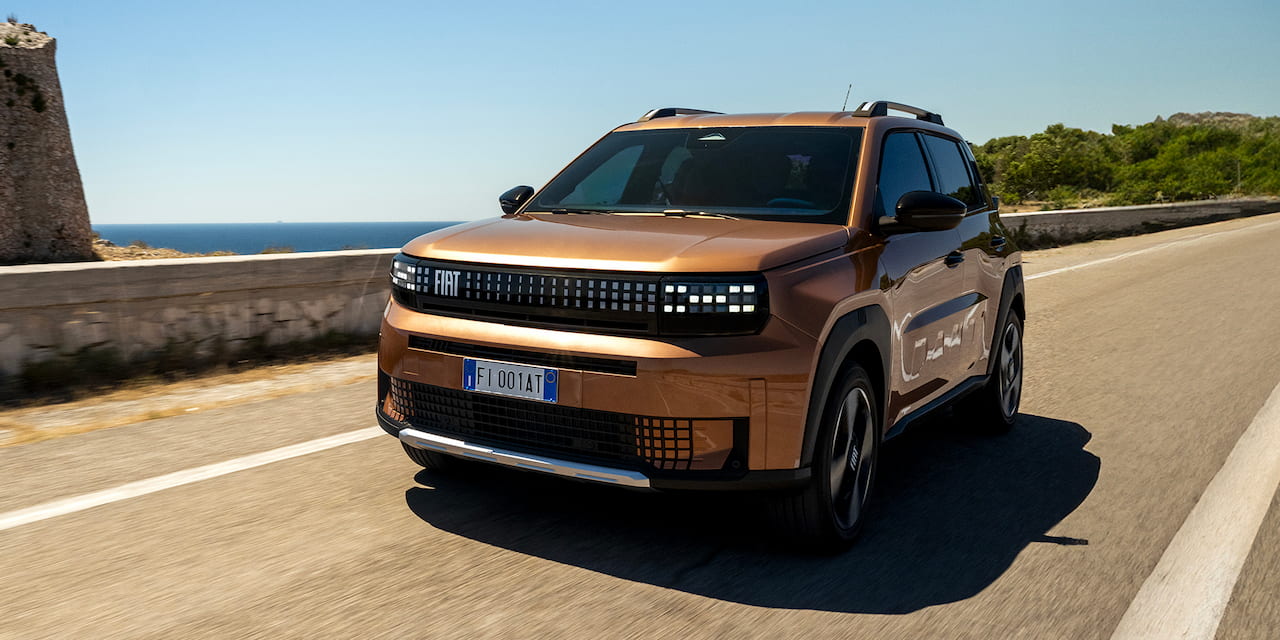 Grande Panda hybride